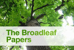 The Broadleaf Papers