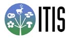 ITIS Logo