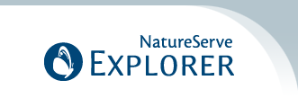 NatureServe Explorer logo.