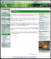 Screen shot of the new Plant Materials Program Web site.