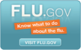 Flu.gov Web Site