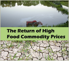 Why Have Food Commodity Prices Risen Again?