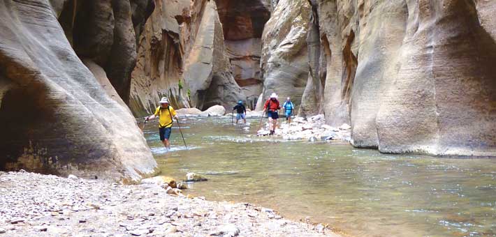Photo of hikers in the Narrows at Zion National Park