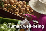 Improving environmental management for food security and human well-being