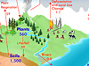 Global Carbon Cycle graphic