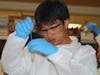 STEP student in a lab.