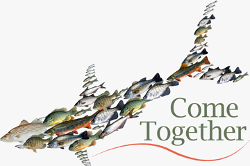 Come together - fish join to create a predator