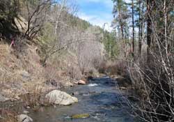 Bear Wallow Creek