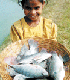 Girl holding basket of fish.