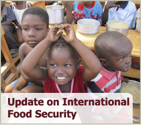 This report is an update to the July 2010 report, Food Security Assessment, 2010-20; it reviews the impact of high global food commodity prices on food security in 2010 in 70 lower income countries using actual 2010 price and food production information.