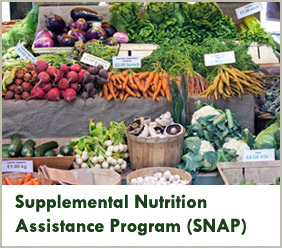 Updated information about SNAP, the Nation's largest domestic food and nutrition assistance program for low-income Americans.