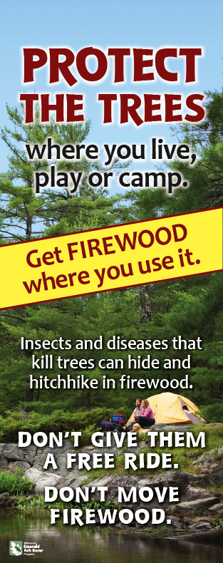 Protect the Trees - Where you live, play, or camp.