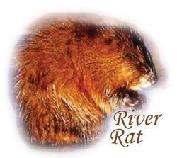 river rat blog