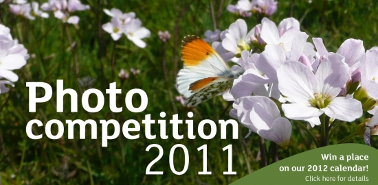 Link to 2011 photo competition page.
