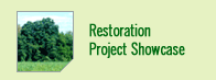 View our Restoration Project Showcase