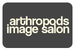 Arthropods Image Salon