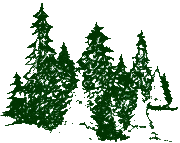 A graphic image of a small stand of trees