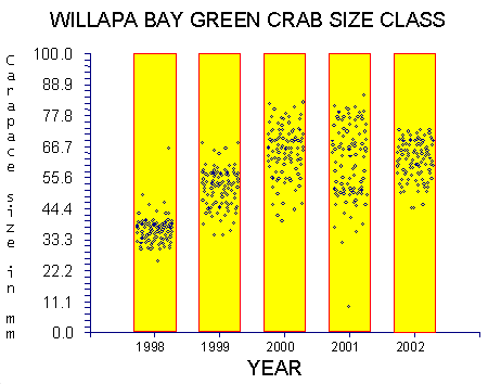 Concentration and Trapping Size of Green Crab in Willapa Bay