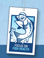 Focus on Fish Health