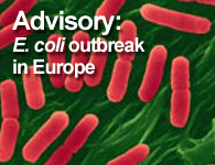 Escherichia coli Outbreak in Europe