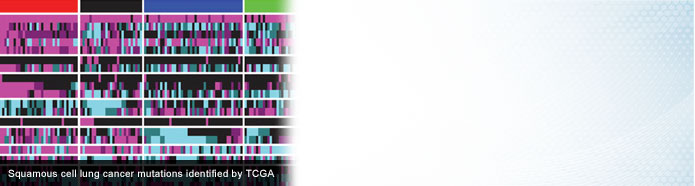 Box of colored bars, depicting genes identified by The Cancer Genome Atlas for association with methylation (blue) or mutation (purple) in squamous lung cancer