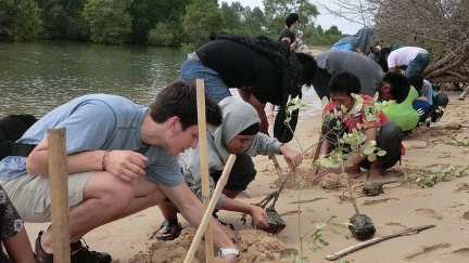 Date: 09/11/2012 Description: Indonesian and U.S. high school students plant mangrove trees during their Indonesia-U.S. Youth Leadership exchange program. - State Dept Image
