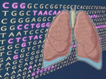 Image of ACTGs and lungs. Image courtesy of Broad Institute Communications