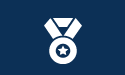 Icon of an award medal 