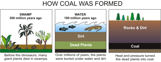 Three images showing how coal was formed. The first image is of a swamp, 300 million years ago. Before the dinosaurs, many giant plants died in swamps.

The second image is of water, 100 million years ago. Over millions of years, these plants were buried under water and dirt.

The third image is of rocks and dirt over the coal. Heat and pressure turned the dead plants into coal.