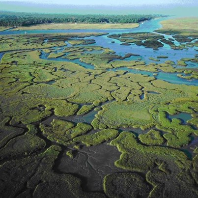 Photo: It's Estuary Wednesday at NOAA! Here's a great photo of the Guana Tolomato Matanzas National Estuarine Research Reserve in Florida. It encompasses approximately 73,352 acres of salt marsh and mangrove tidal wetlands, oyster bars, estuarine lagoons, upland habitat and offshore seas in Northeast Florida. The GTM Reserve is located in the East Florida subregion, south of Jacksonville and sandwiching St. Augustine. It contains the northernmost extent of mangrove habitat on the East Coast of the United States, some of the highest dunes in Florida, measuring 30-40 feet, and one of the few remaining "inlets" in northeast Florida not protected by a jetty. Thus, the estuary presents an easy study of what an inlet might have looked like in the past. The coastal waters of the GTM Reserve are also important calving grounds for the endangered right whale. Learn more about NOAA's National Estuarine Research Reserves at: http://www.nerrs.noaa.gov.