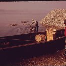 Photo: DOCUMERICA original caption: Bluffton Oyster Co-op, 05/1973 Paul Conklin (1929-2003).

This family run operation began in 1899 and still exists today! Who has a photo to compare the change since 1973? http://www.flickr.com/groups/ourenvironment/?

This photo is one of three highlighting Documerica scenes from South Carolina. Follow the traveling exhibit this month with U. S. Environmental Protection Agency Region 4 (Southeast Region) @ http://bit.ly/DocumericaExhibitGA
