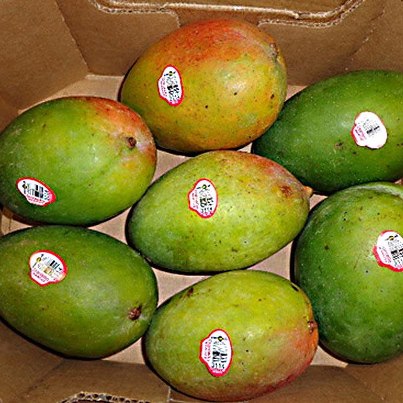 Photo: http://go.usa.gov/rEWQ

Today BI-LO announced an immediate voluntary recall on whole Daniella brand mangoes sold with a universal product code (UPC) of 0-00000-04051 in stores between July 12 and Aug. 27, 2012. The recalled mangoes, a product of Mexico, were sold as individual fruit and can be identified by the Daniella brand sticker.