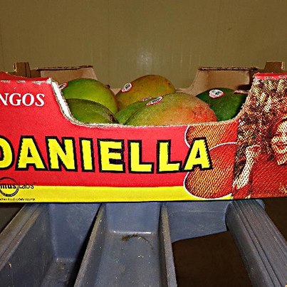 Photo: http://go.usa.gov/rEDT

World Foods, LLC is initiating a voluntary, precautionary recall on various products it distributes to retail supermarkets that contain mangoes associated with the Splendid Products recall of Daniella Brand Mangoes with the potential to be contaminated with Salmonella.