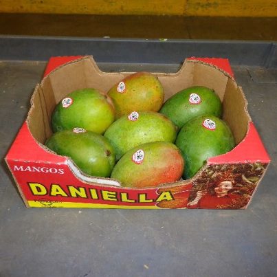Photo: http://go.usa.gov/rUDx 

Produce distributor Splendid Products is voluntarily recalling certain lots of Daniella brand mangoes because they may be contaminated with Salmonella. The recalled mangoes, a product of Mexico, were sold as individual fruit and can be identified by the Daniella brand sticker and one of the following PLU numbers: 3114, 4051, 4311, 4584 or 4959.