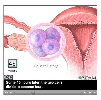 Photo: Videos of cell division, heartburn, snoring, the sun’s effect on the skin, and much more? It’s all in the Anatomy Video collection on NLM MedlinePlus:
http://www.nlm.nih.gov/medlineplus/anatomyvideos.html.