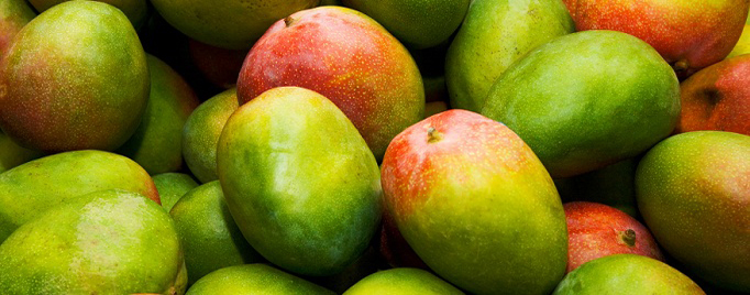 Mangos_