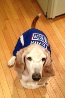 Photo: TeamUSO mascot, Beatrice, is here to remind you to vote today! http://sharethelove.subaru.com/