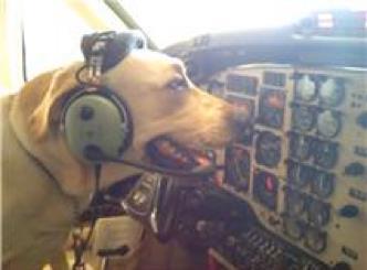 Photo: Trapper's got his sights set on the USO being a finalist! Vote today: http://sharethelove.subaru.com/
