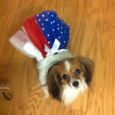 Photo: Kyoko says you only have a few hours left to help the USO be a finalist!! http://sharethelove.subaru.com/