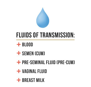 fluids of transmission - blood, semen(cum), pre-seminal fluid(pre-cum), vaginal fluid, breast milk