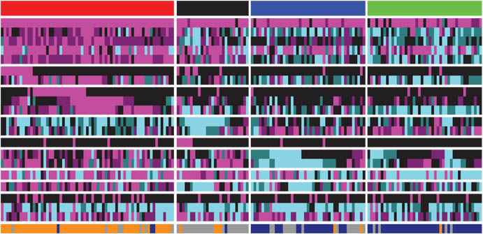 Box of colored bars, depicting genes identified by TCGA for association with methylation (blue) or mutation (purple) in squamous lung cancer.