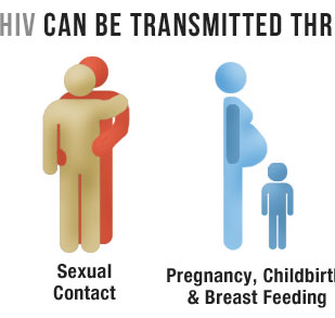 HIV can be transmitted through: Sexual Contact, pregnancy, childbirth, and breast feeding.
