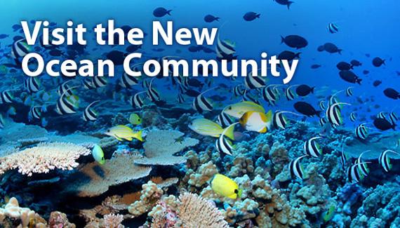 Visit the New Ocean Community