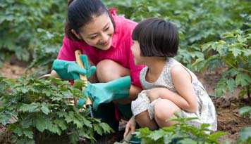 Photo of a woman and little girl planting vegetables in their garden