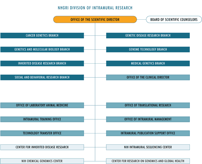 Division of Intramural Research Organizational Chart