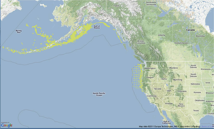 Pacific Ocean Perch Location & Habitat Map Large View