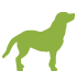 icon of horse and dog