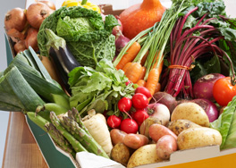 Photo of assorted vegetables on kitechen counter