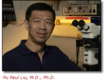 Pu Paul Liu, M.D., Ph.D.