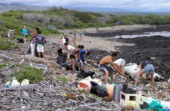 volunteers cleaning trash on a beach
